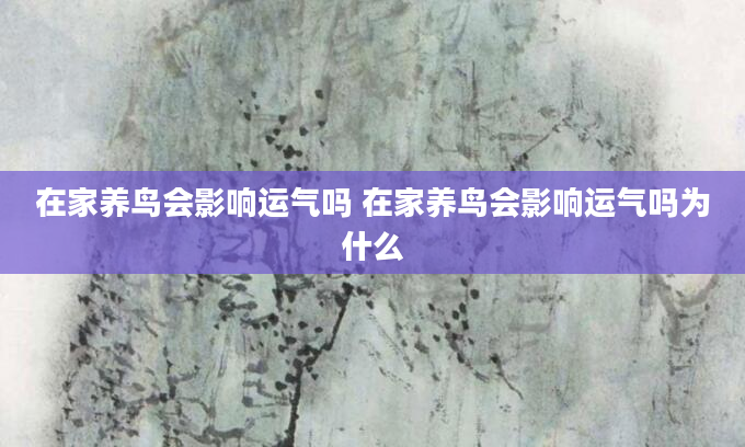 在家养鸟会影响运气吗 在家养鸟会影响运气吗为什么