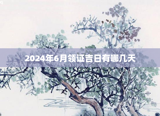 2024年6月领证吉日有哪几天
