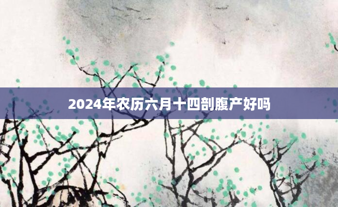 2024年农历六月十四剖腹产好吗