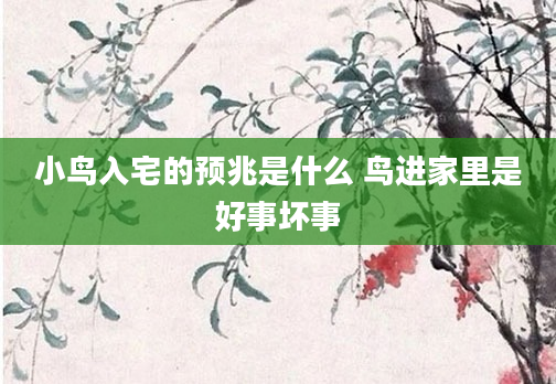 小鸟入宅的预兆是什么 鸟进家里是好事坏事