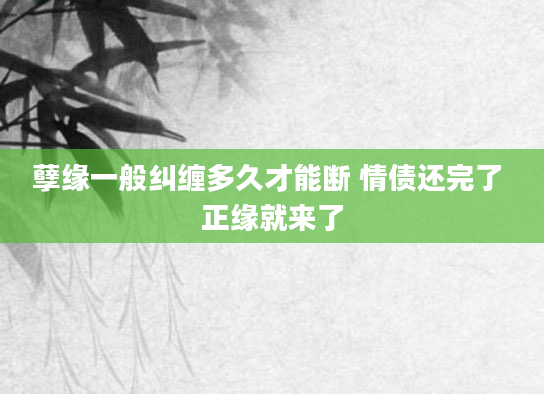 孽缘一般纠缠多久才能断 情债还完了 正缘就来了