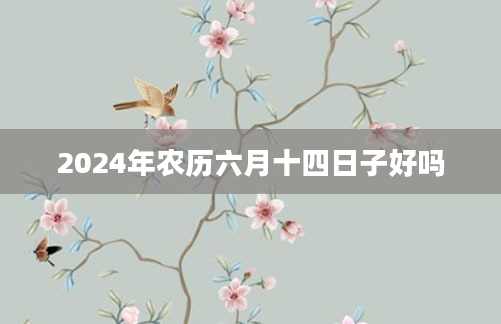 2024年农历六月十四日子好吗