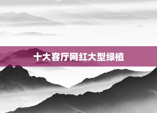 十大客厅网红大型绿植