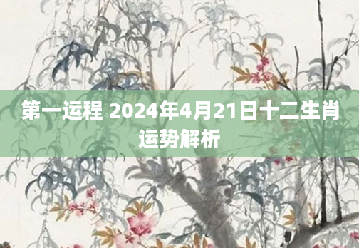 第一运程 2024年4月21日十二生肖运势解析