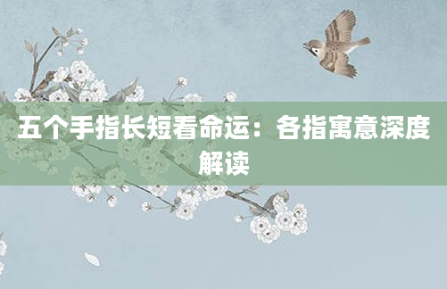 五个手指长短看命运：各指寓意深度解读
