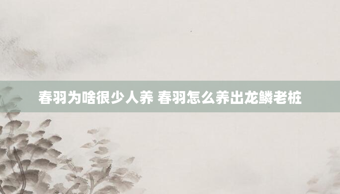 春羽为啥很少人养 春羽怎么养出龙鳞老桩