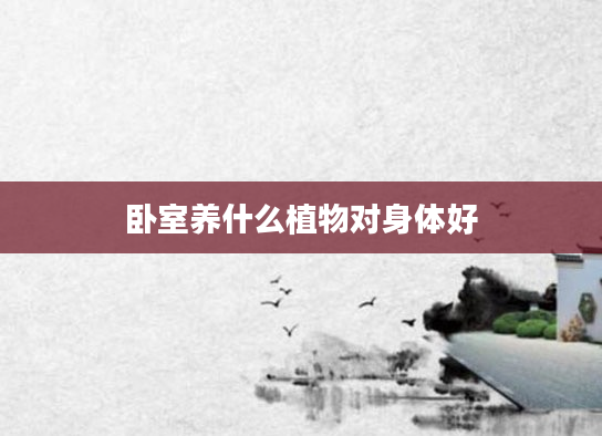卧室养什么植物对身体好