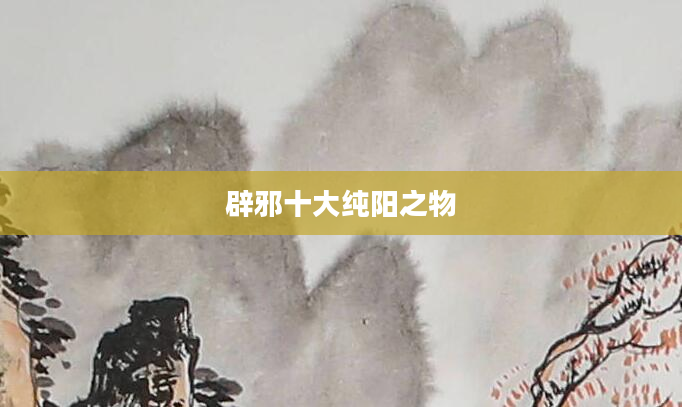 辟邪十大纯阳之物