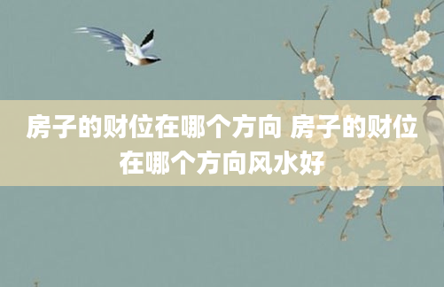 房子的财位在哪个方向 房子的财位在哪个方向风水好