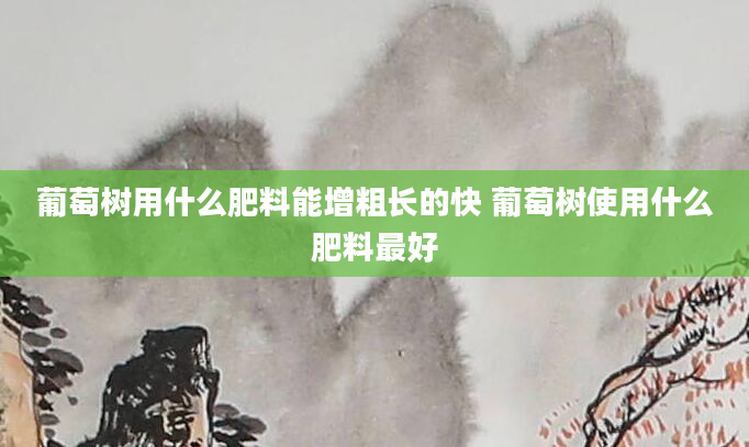 葡萄树用什么肥料能增粗长的快 葡萄树使用什么肥料最好