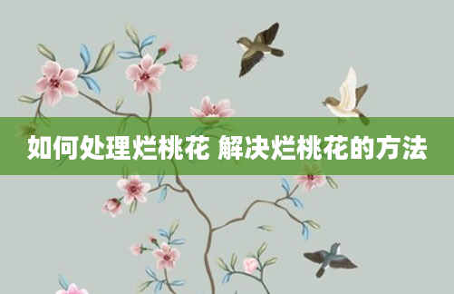如何处理烂桃花 解决烂桃花的方法