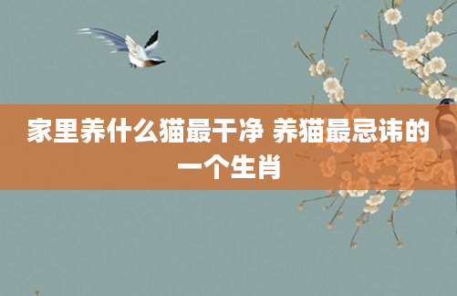 家里养什么猫最干净 养猫最忌讳的一个生肖