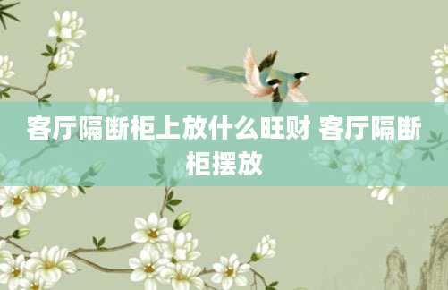 客厅隔断柜上放什么旺财 客厅隔断柜摆放