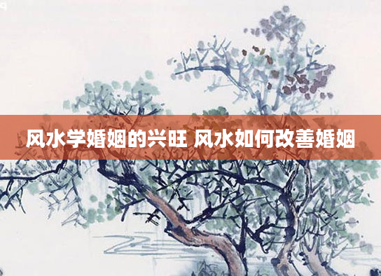风水学婚姻的兴旺 风水如何改善婚姻