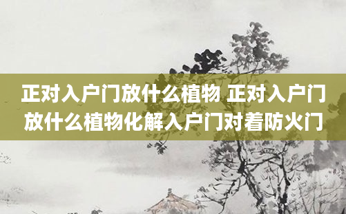 正对入户门放什么植物 正对入户门放什么植物化解入户门对着防火门