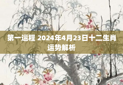 第一运程 2024年4月23日十二生肖运势解析
