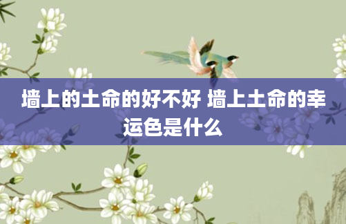 墙上的土命的好不好 墙上土命的幸运色是什么