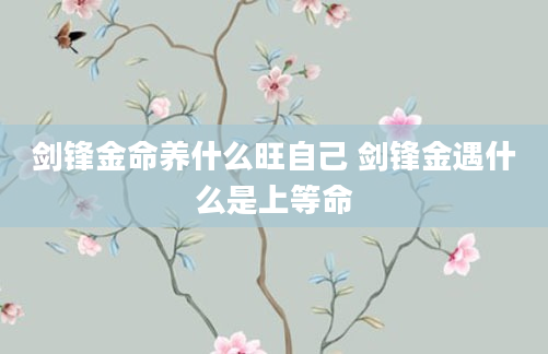 剑锋金命养什么旺自己 剑锋金遇什么是上等命