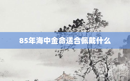 85年海中金命适合佩戴什么