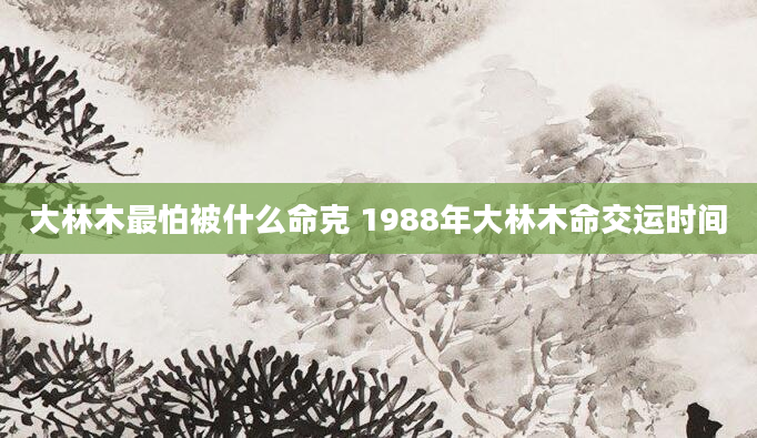 大林木最怕被什么命克 1988年大林木命交运时间
