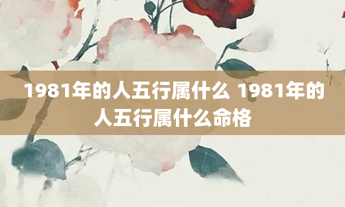 1981年的人五行属什么 1981年的人五行属什么命格