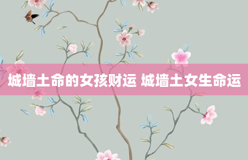 城墙土命的女孩财运 城墙土女生命运