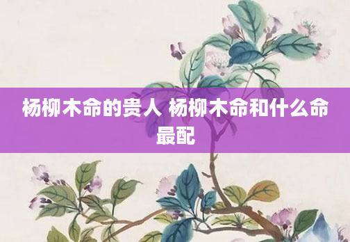 杨柳木命的贵人 杨柳木命和什么命最配