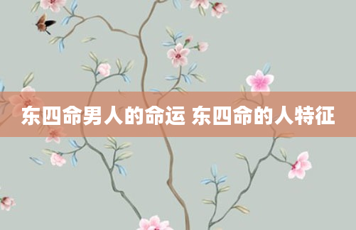 东四命男人的命运 东四命的人特征