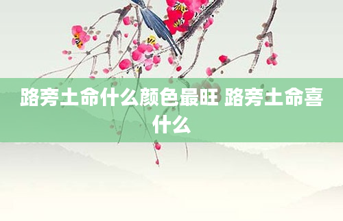 路旁土命什么颜色最旺 路旁土命喜什么