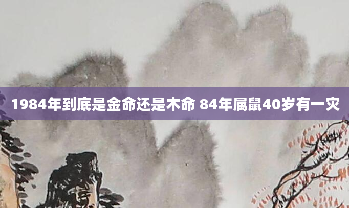 1984年到底是金命还是木命 84年属鼠40岁有一灾
