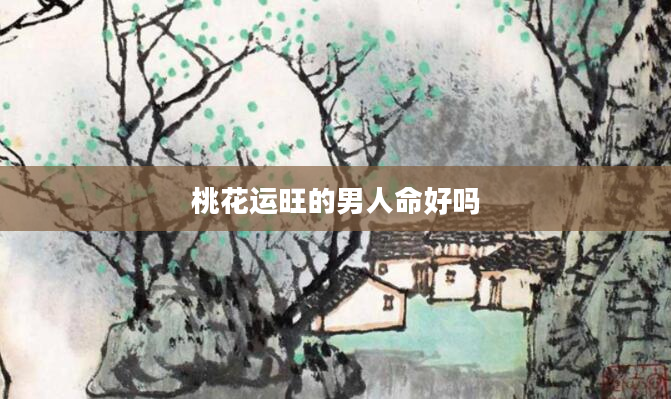 桃花运旺的男人命好吗