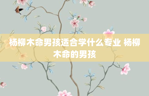 杨柳木命男孩适合学什么专业 杨柳木命的男孩