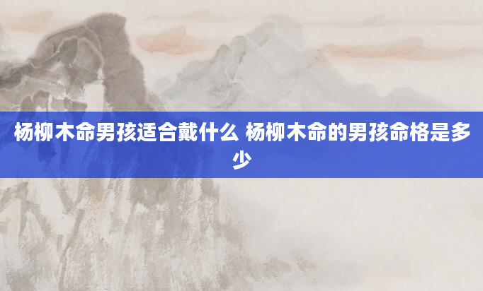 杨柳木命男孩适合戴什么 杨柳木命的男孩命格是多少