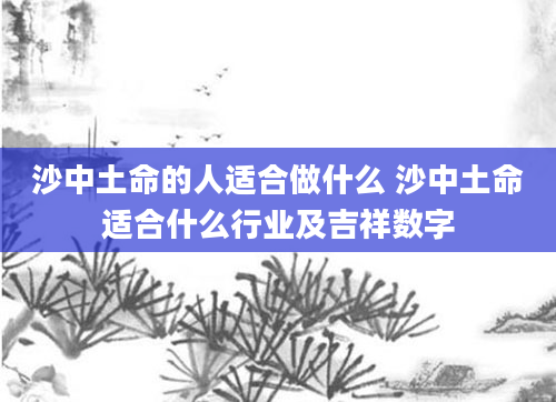 沙中土命的人适合做什么 沙中土命适合什么行业及吉祥数字