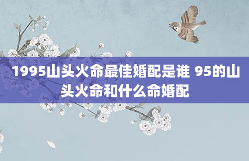 1995山头火命最佳婚配是谁 95的山头火命和什么命婚配