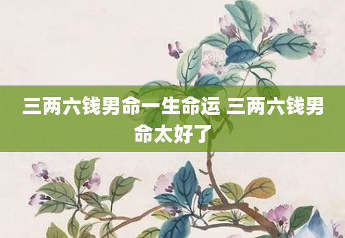 三两六钱男命一生命运 三两六钱男命太好了