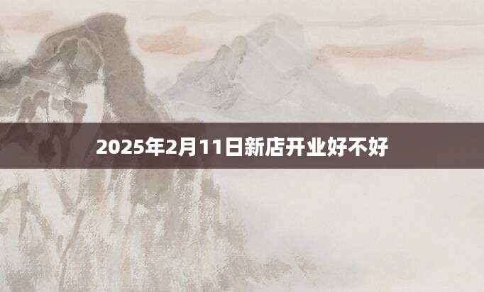 2025年2月11日新店开业好不好