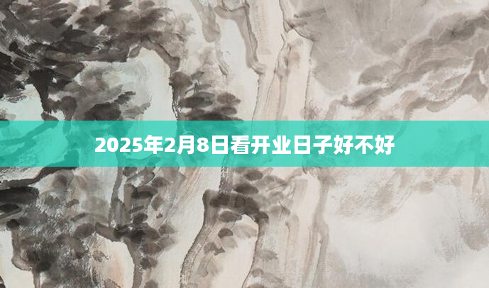 2025年2月8日看开业日子好不好
