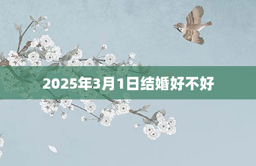 2025年3月1日结婚好不好