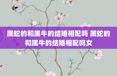 属蛇的和属牛的结婚相配吗 属蛇的和属牛的结婚相配吗女