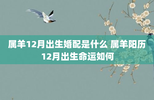 属羊12月出生婚配是什么 属羊阳历12月出生命运如何
