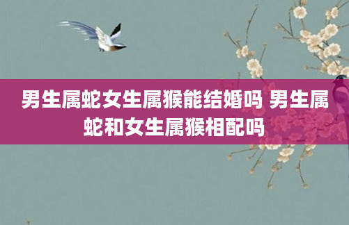 男生属蛇女生属猴能结婚吗 男生属蛇和女生属猴相配吗