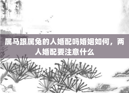 属马跟属兔的人婚配吗婚姻如何，两人婚配要注意什么