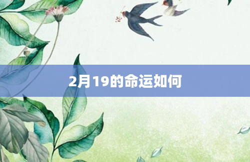 2月19的命运如何