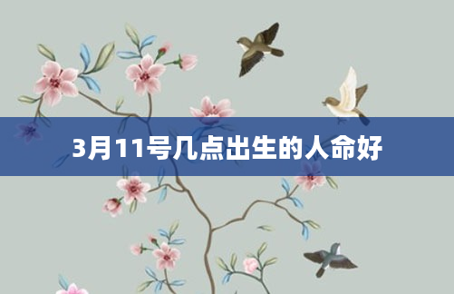 3月11号几点出生的人命好