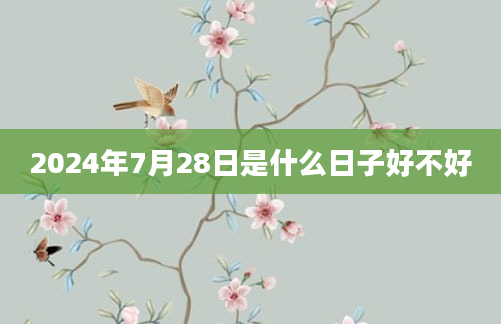 2024年7月28日是什么日子好不好