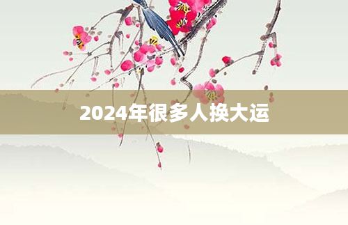 2024年很多人换大运