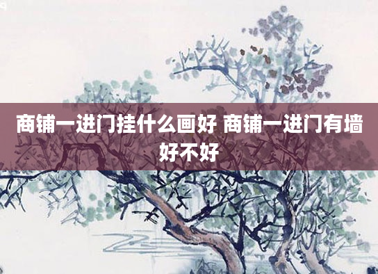 商铺一进门挂什么画好 商铺一进门有墙好不好