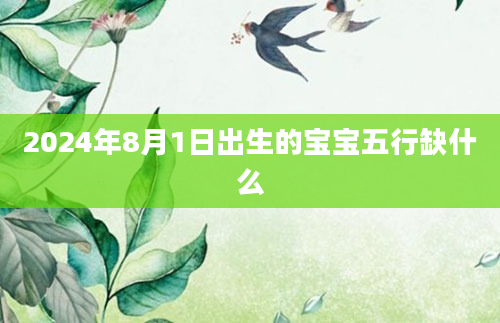 2024年8月1日出生的宝宝五行缺什么