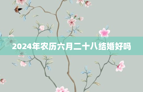2024年农历六月二十八结婚好吗